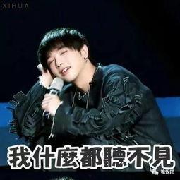 娱乐吃瓜酱华晨宇
